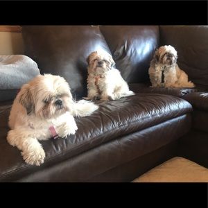 Meet your Posher, Angela